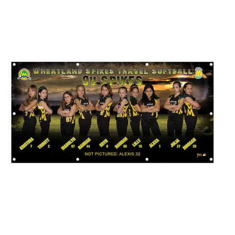 1 - 6'x3' Vinyl Extreme Team Banner